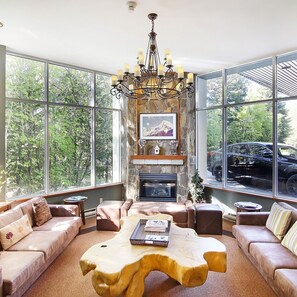 TV, fireplace, DVD player