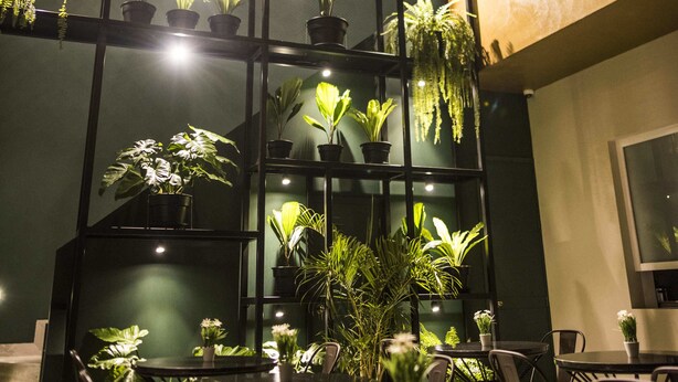 Restaurant - Neo Hotel Boutique (Lima)