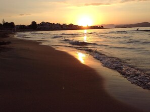 Playa en los alrededores y camastros 