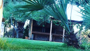 Ein gepflegter Rasen im Vordergrund, eine Palme, im Hintergrund ein Steinhaus mit flachem Dach und ein klarer Himmel.