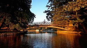 Oklassificerad bild, 3 av 21, knapp