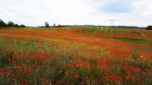 Unclassified image, 3 of 21, button - Vacation Apartment in Mirow (97108) - Vacation Apartment in Mirow (97108) (Mirow)