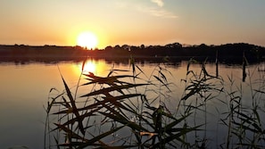 Oklassificerad bild, 4 av 21, knapp