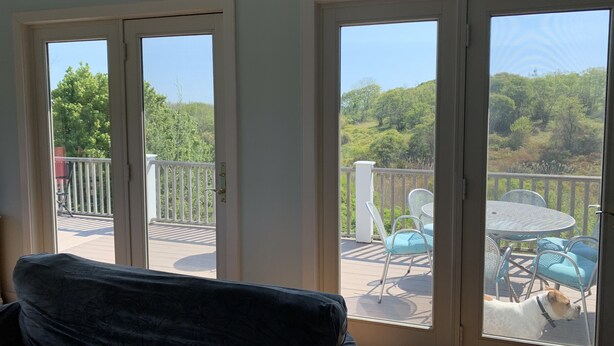 Ein Zimmer mit Blick auf einen Balkon, der mit Sitzmöbeln und einem Hund ausgestattet ist.