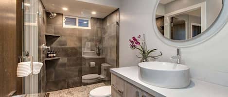 Combined shower/tub, hair dryer, shampoo