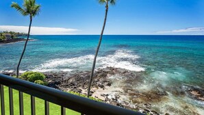 Une vue sur la côte, avec deux palmiers, une mer bleue et limpide, et une côte rocheuse.