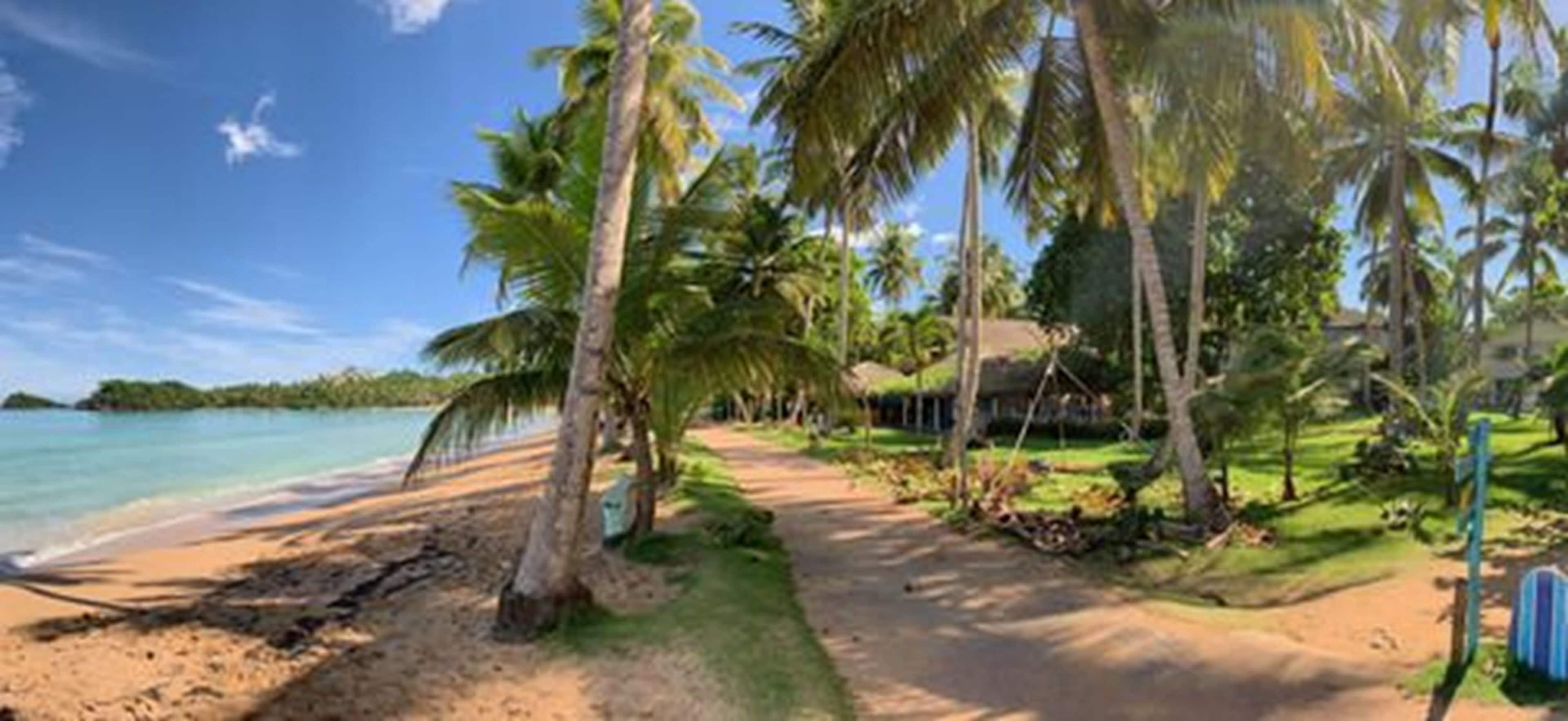 Ein Strand mit Palmen, einer Hütte mit Strohdach und blauem Himmel.