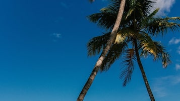 On the beach, beach towels, beach massages, beach bar