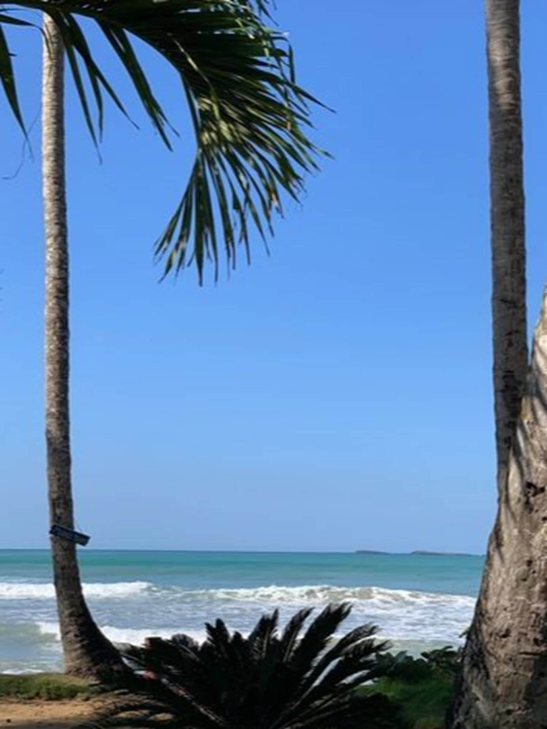 on the beach, beach towels, beach massages, beach bar
