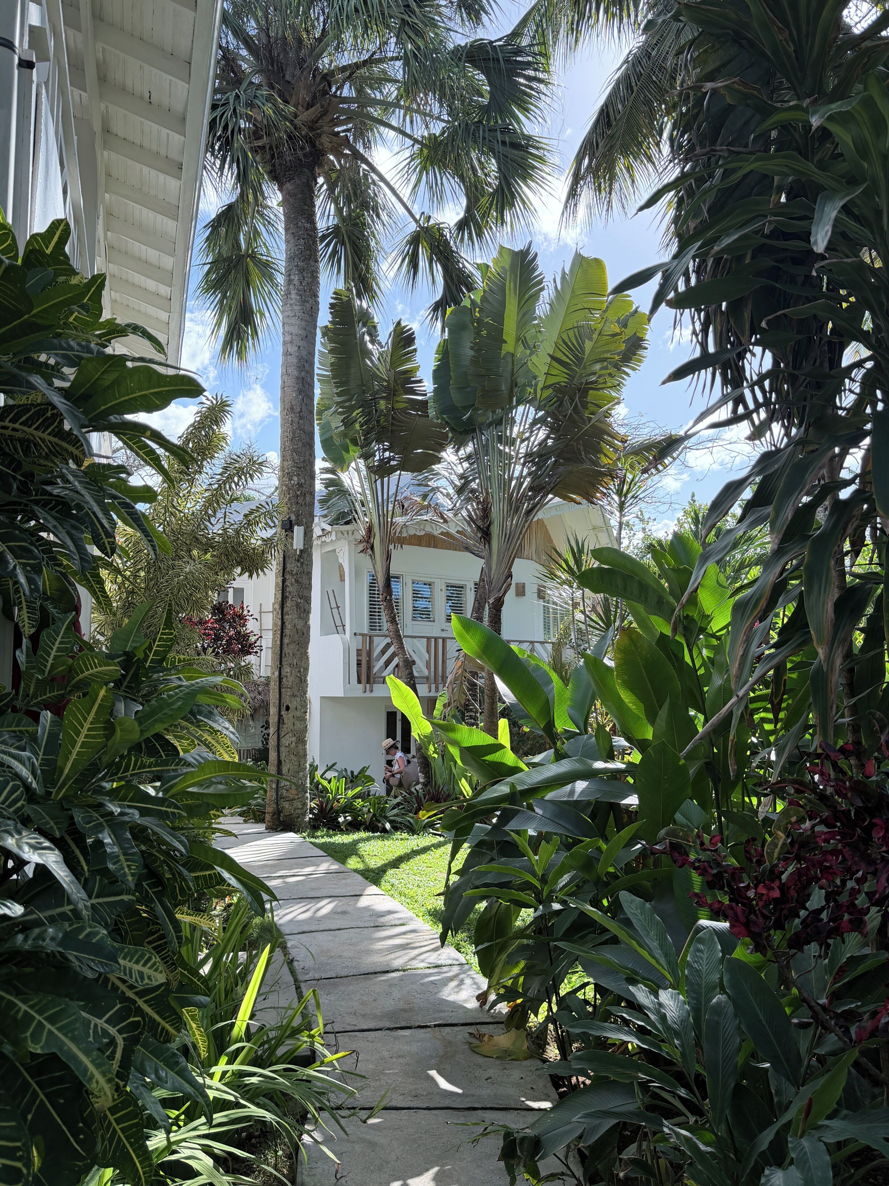A pathway surrounded by lush tropical plants leading to a building with a white facade and a balcony.