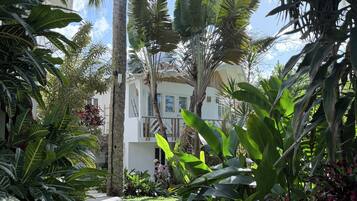 A pathway surrounded by lush tropical plants leading to a building with a white facade and a balcony.