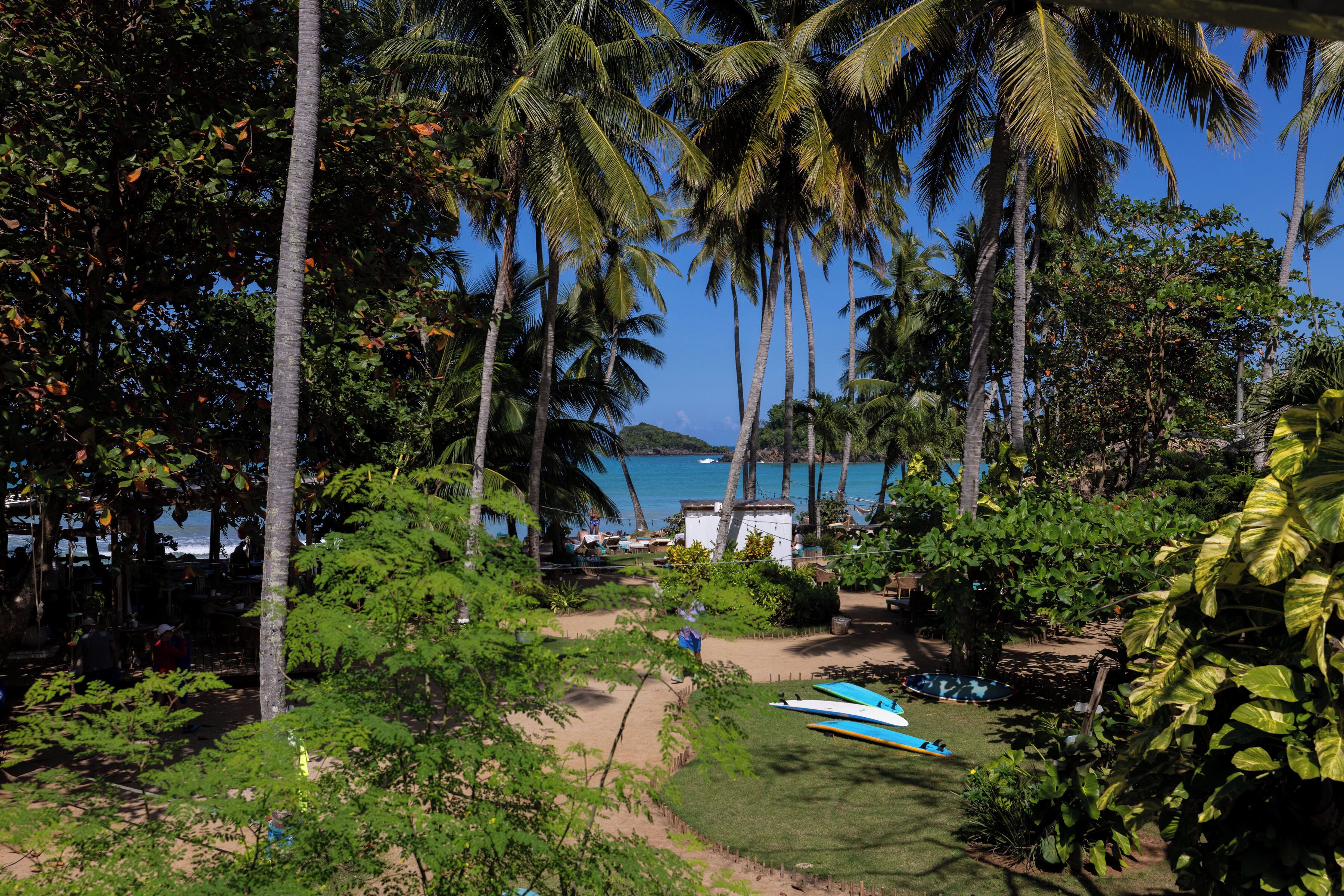 A tropical setting with palm trees, a beach, and a clear view of the ocean.