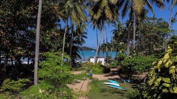 A tropical setting with palm trees, a beach, and a clear view of the ocean.
