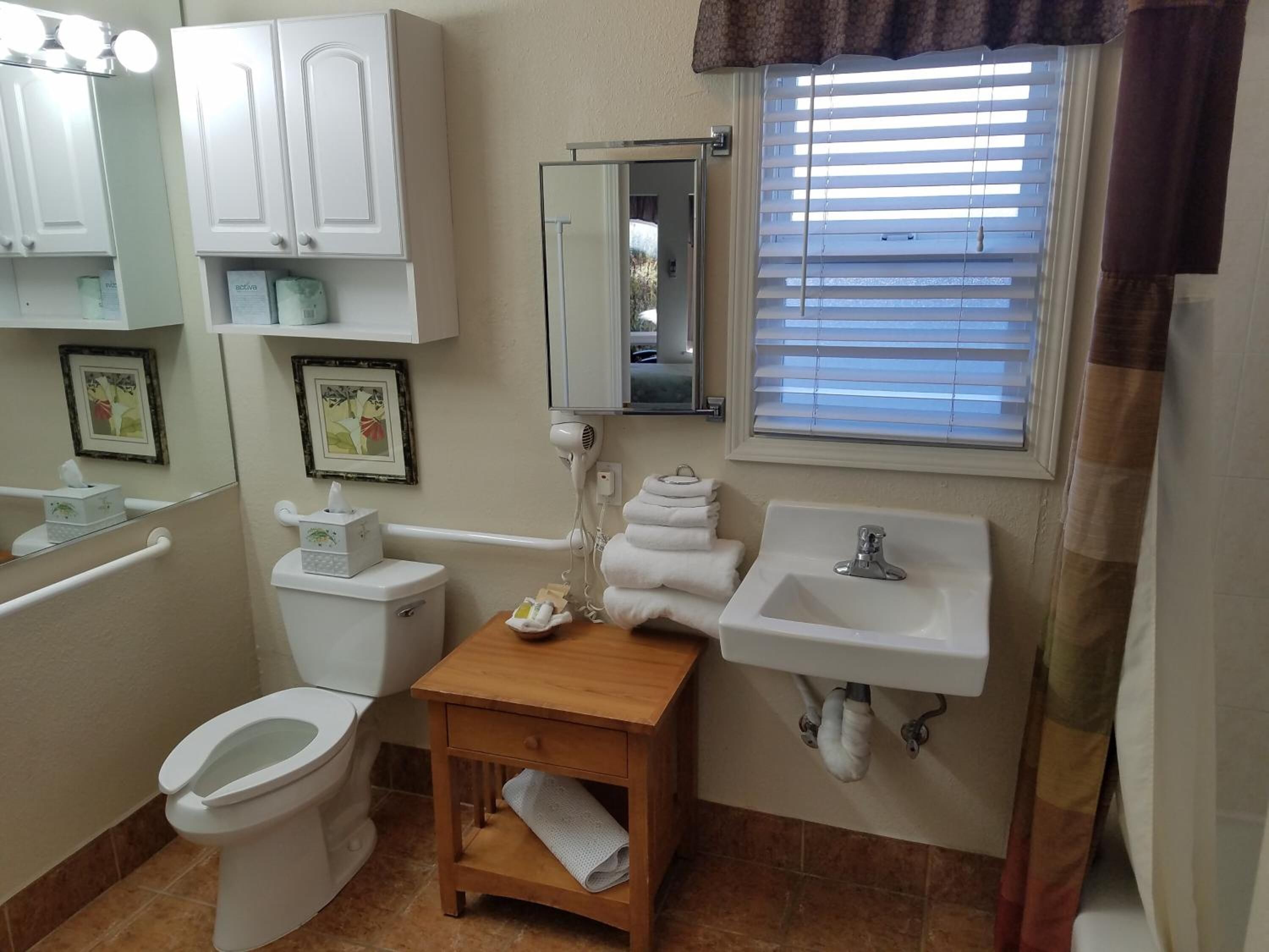 combined shower/bathtub, free toiletries, hair dryer, towels