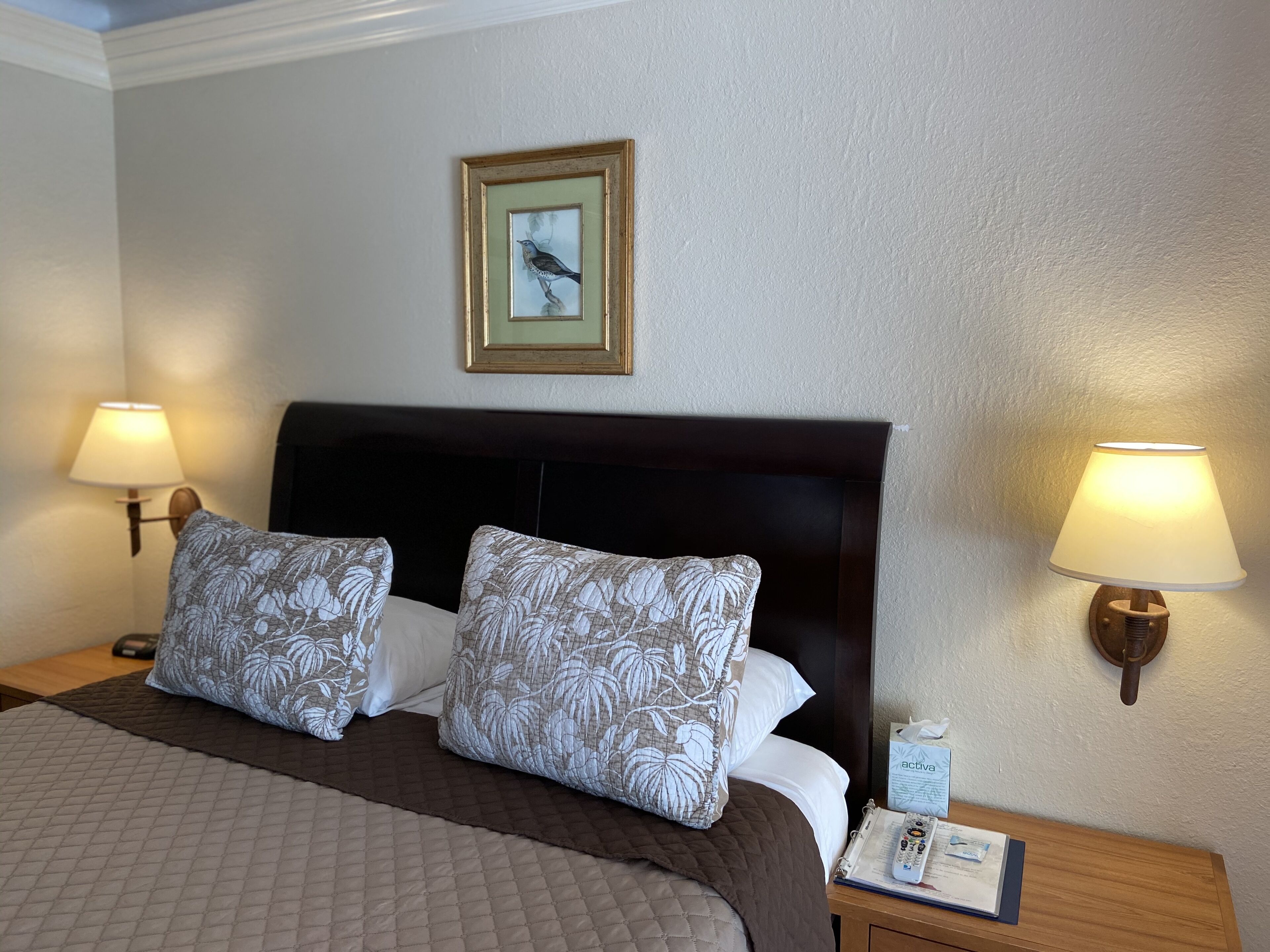 1 bedroom, individually decorated, individually furnished, desk