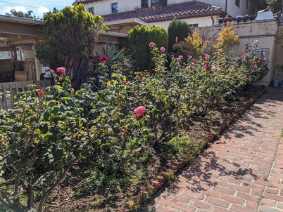 貓咪花園旅館飯店