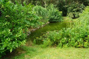Eine natürliche Landschaft mit Teich, dichtem Grün und vielfältigen Pflanzen.