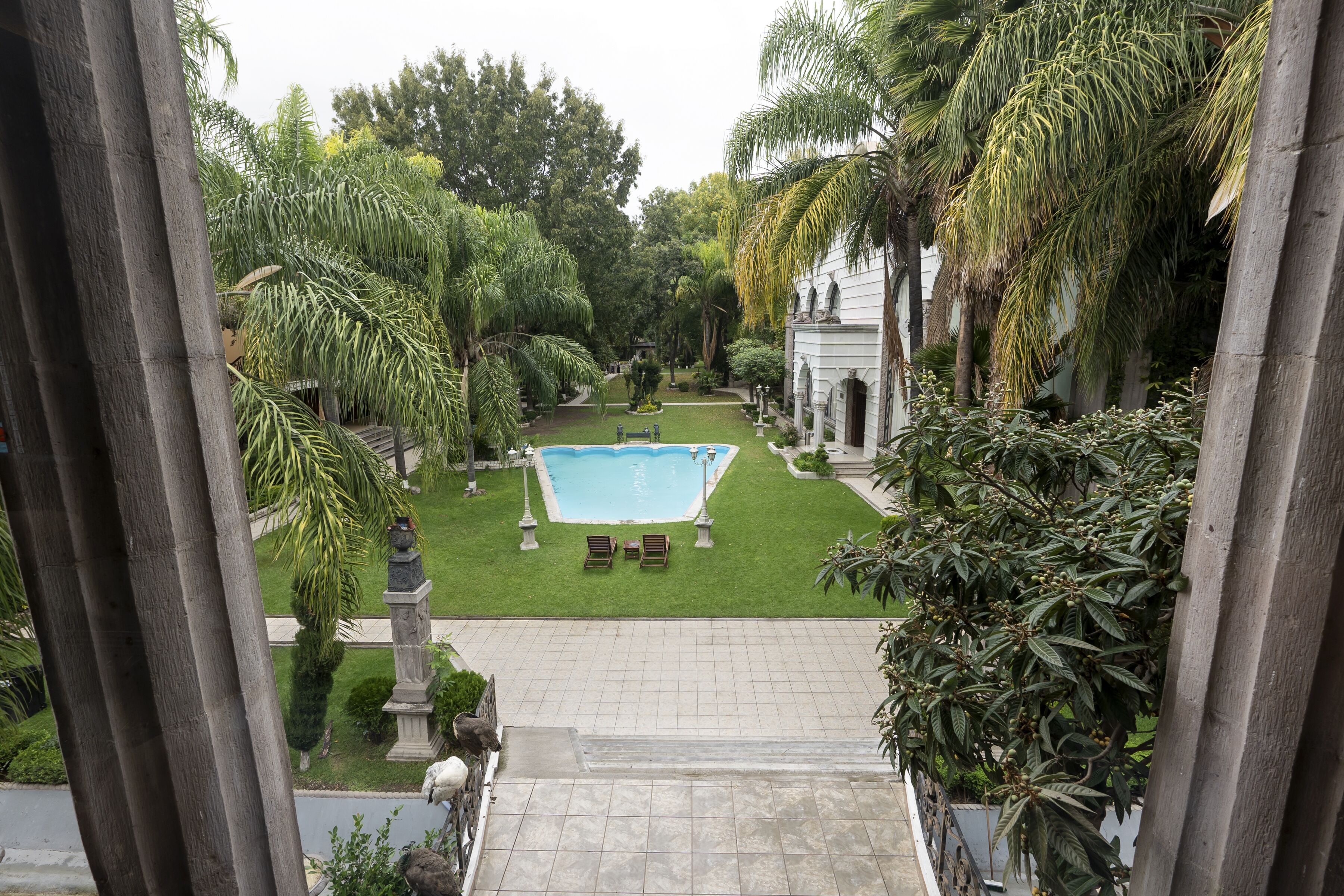 A pool area with a clear view of the surrounding garden and a building with columns.