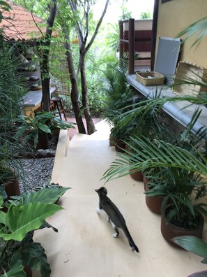 Terrasse/gårdhave