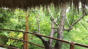 Estructura de techo de paja con vistas a un follaje verde denso.