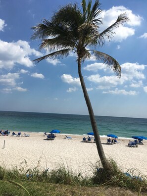 Sun loungers, beach towels