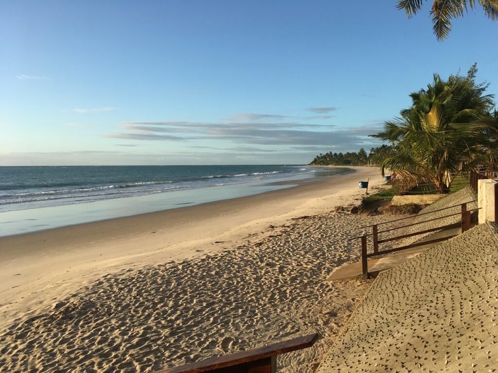 A beach with a sandy shore, palm trees, and a wooden fence.