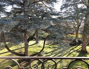Land view from property