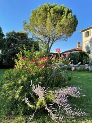 Garden - Guest Room le Parc (Labruguiere)