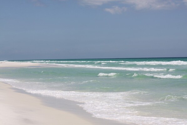 بالقرب من الشاطئ