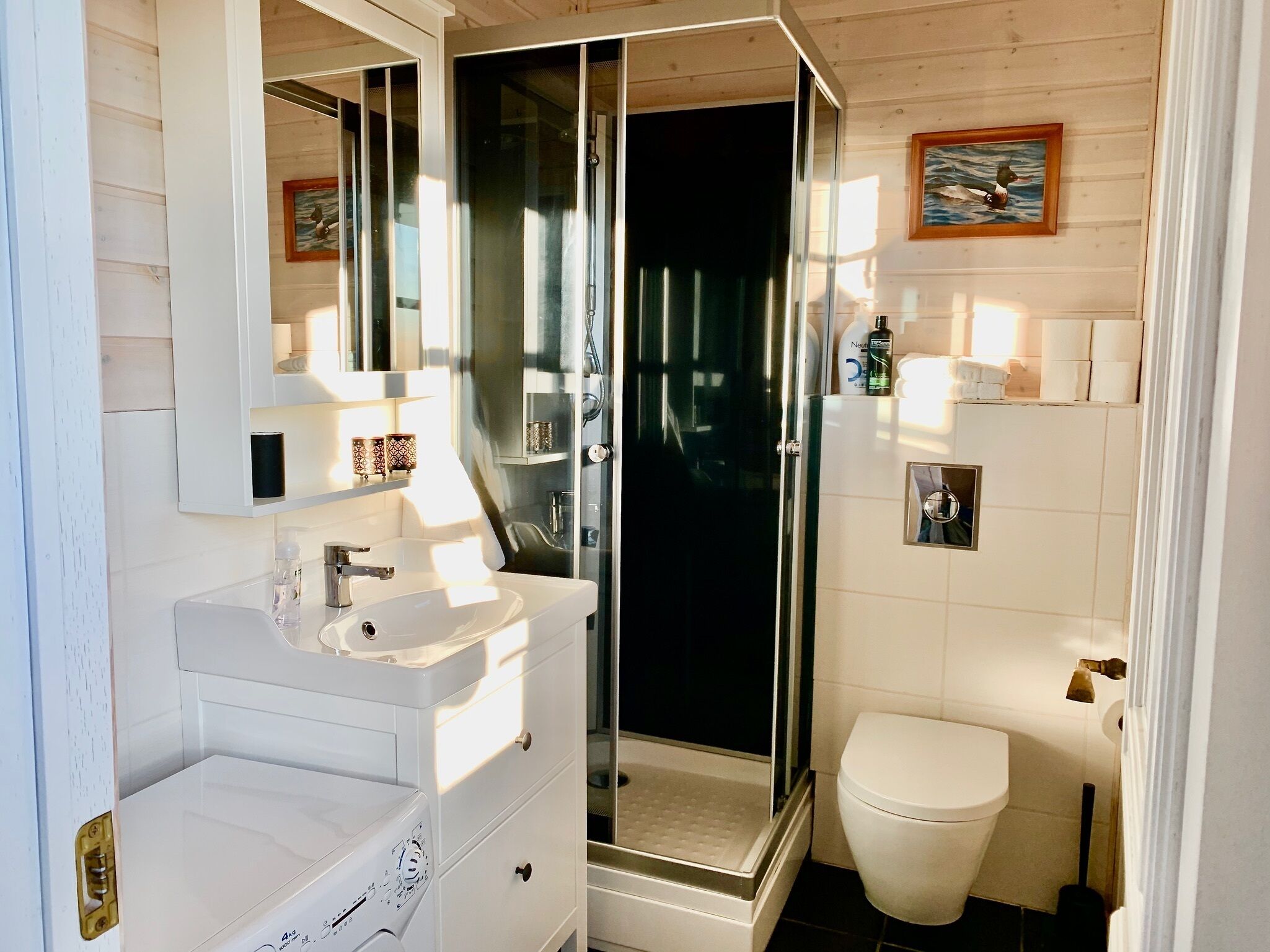 Un baño moderno con cabina de ducha de vidrio, un lavabo blanco y un inodoro.