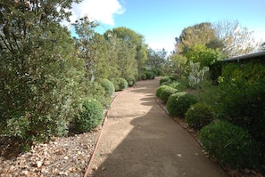 A gravel pathway flanked by dense shrubbery and trees, leading through a landscaped garden area.