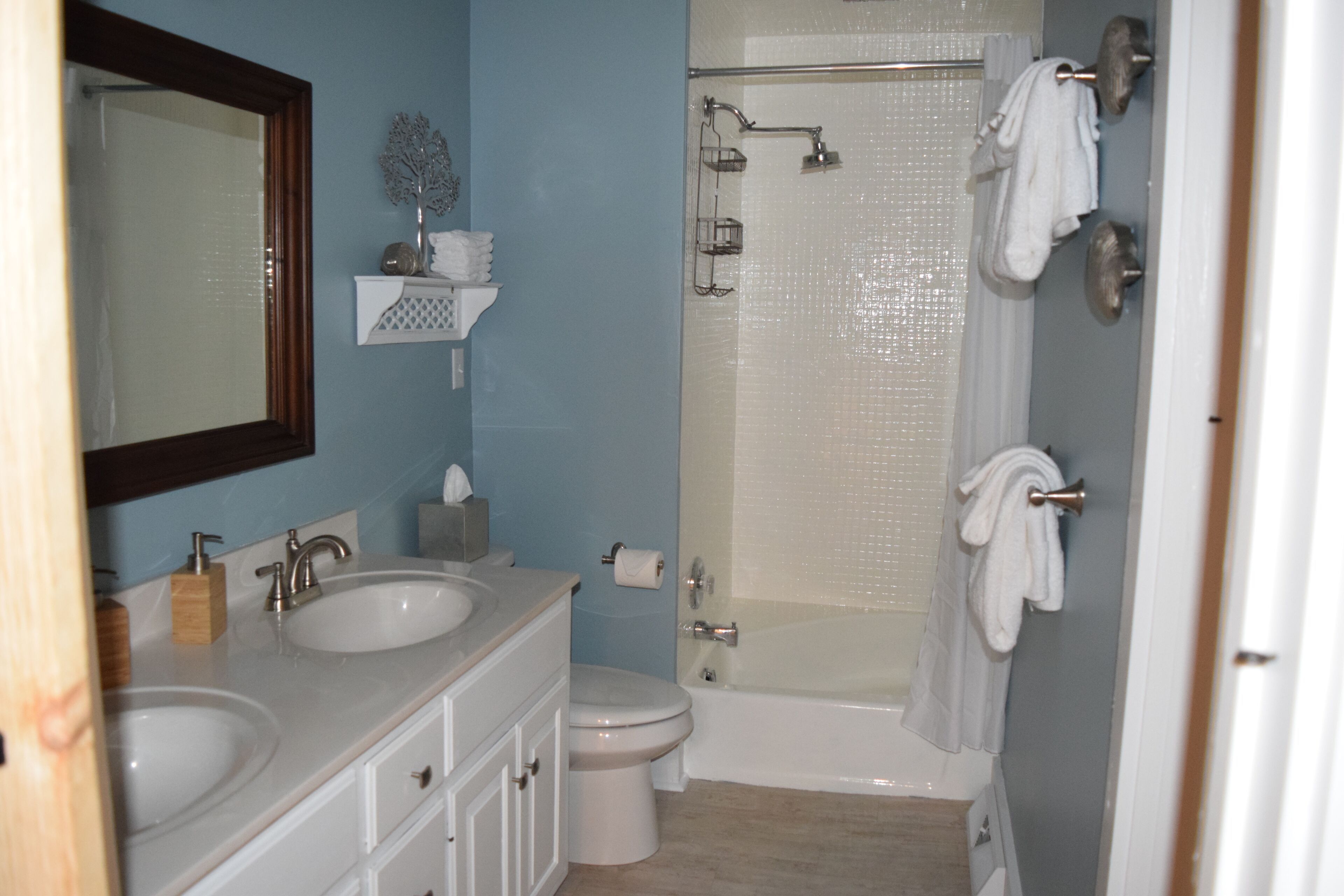 Combined shower/tub, hair dryer, towels, toilet paper