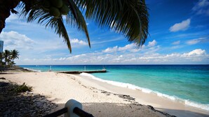 Een strand met helder turquoise water, een zandstrand en een palmboom.
