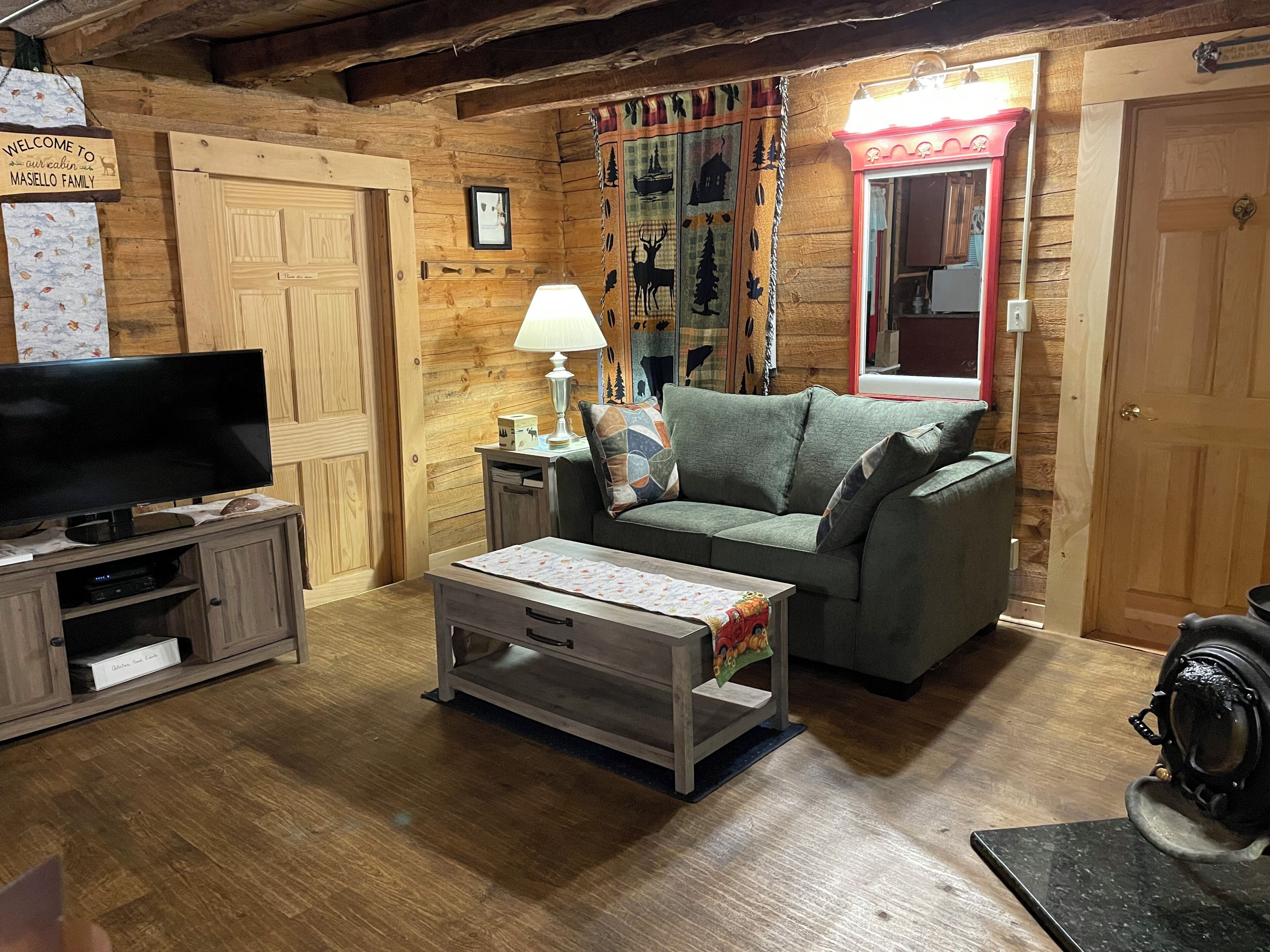 TV connectée, cheminée, lecteur de DVD, livres