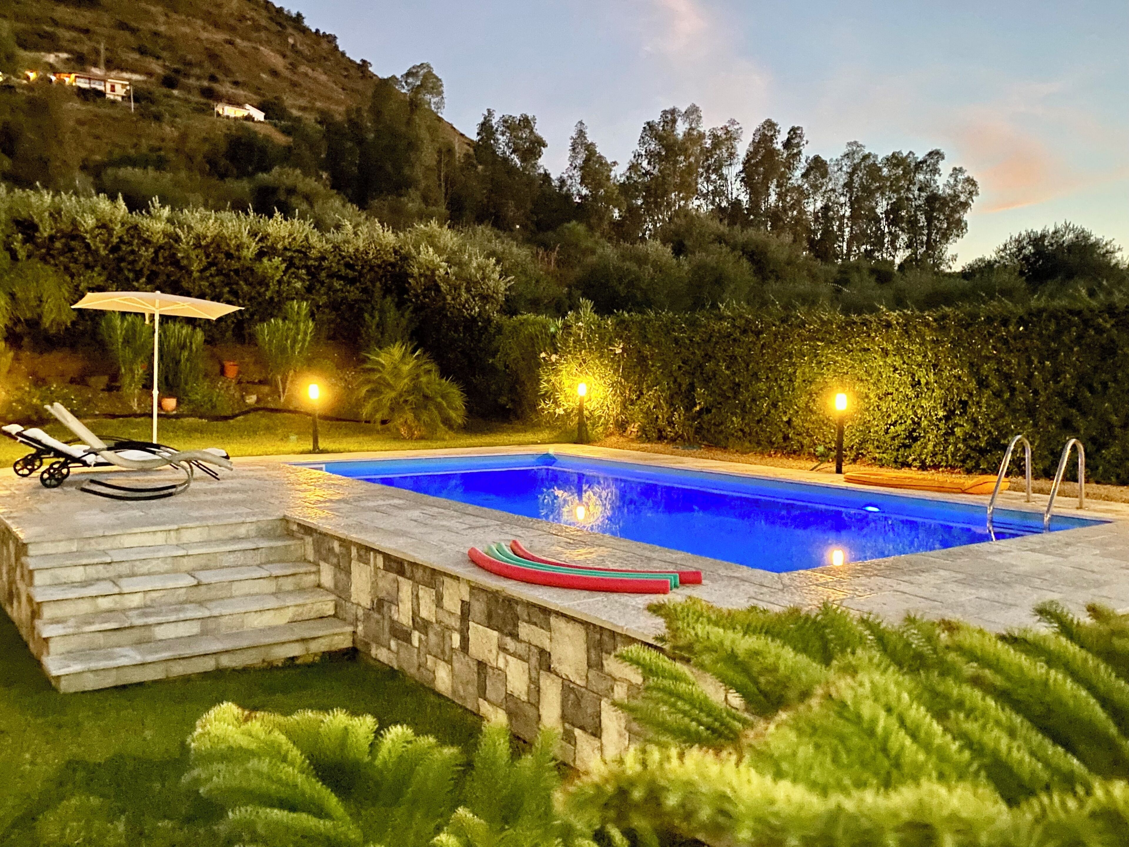 A swimming pool with steps leading down to it, surrounded by greenery and a hillside.