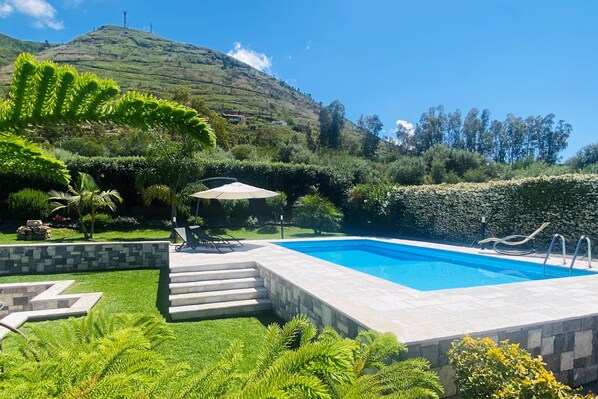 A swimming pool with a stone border, surrounded by a well-maintained lawn and various plants.