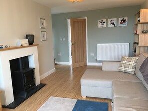 Smart TV, fireplace, video games, DVD player