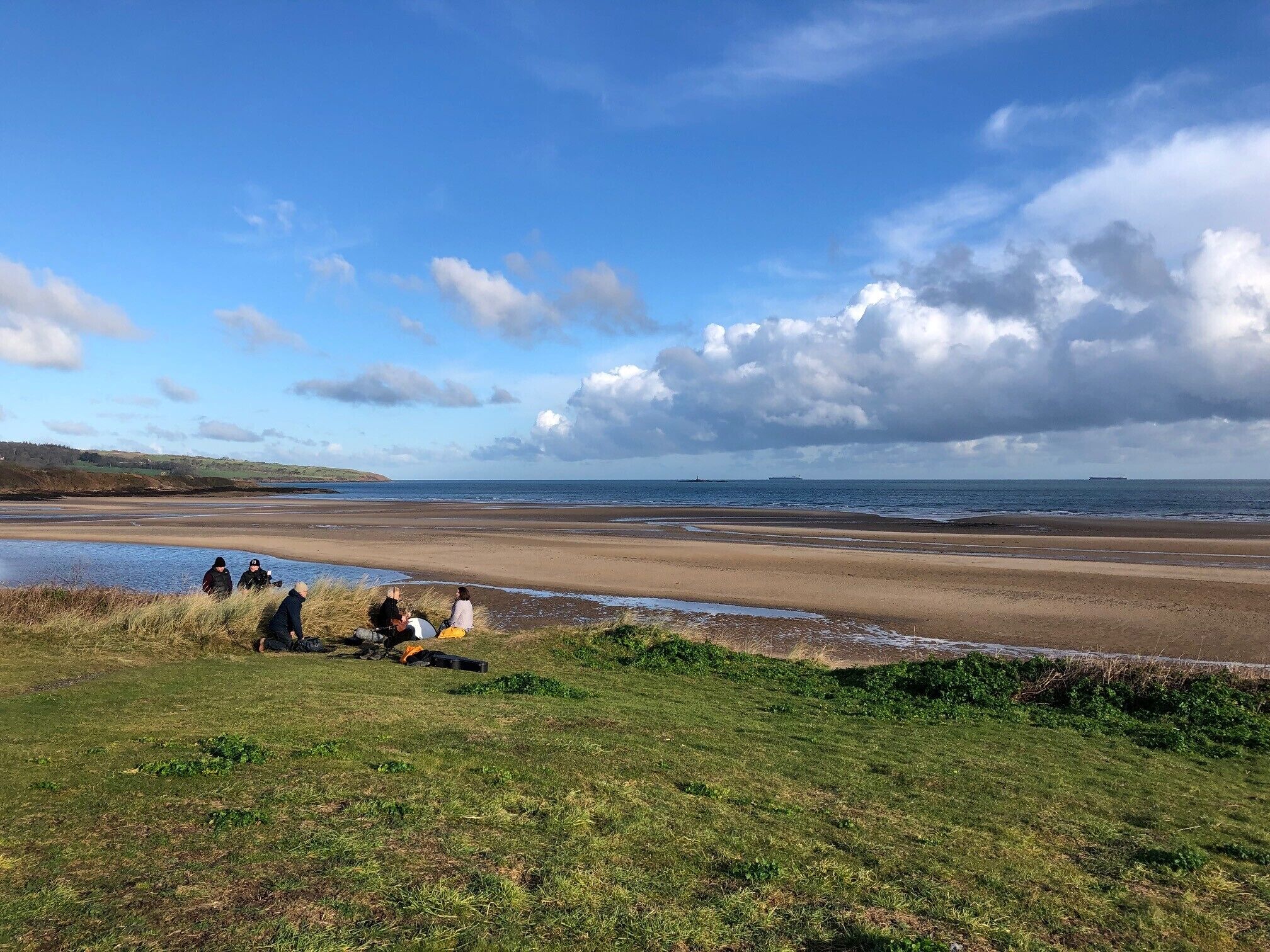 A beach with a group of people, grassy areas, and a distant ship.