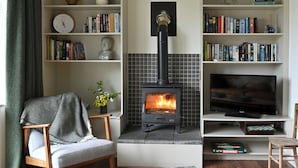 A cozy living room with a fireplace, bookshelves, a TV, and comfortable seating. - Historic Townhouse in Clifden with courtyard+ balcony overlooking
Clifden Bay (Clifden)