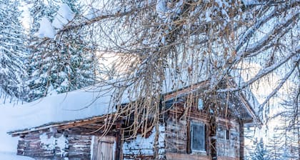 Magnificent little chalet on the trail <br>La gouille à l'ours