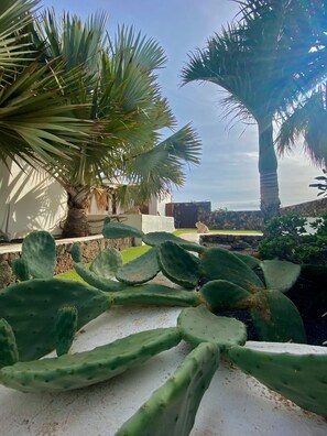 Exterior detail - Peaceful Outdoor Dining Areas , perfect for families (Lajares)