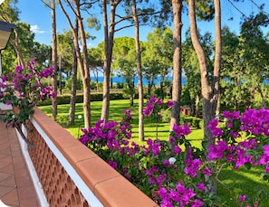 A balcony with a view of a well-maintained lawn and trees, overlooking a body of water. -  Beachfront Villa with spacious garden and direct beach access  (San Sostene Marina)