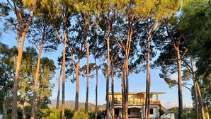 A pathway leading to a building surrounded by tall trees. -  Beachfront Villa with spacious garden and direct beach access  (San Sostene Marina)