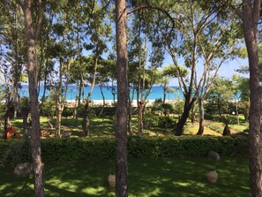 Terrain de l’hébergement 