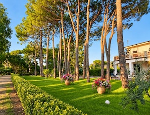 A well-maintained garden with tall trees, manicured grass, and flower pots. -  Beachfront Villa with spacious garden and direct beach access  (San Sostene Marina)