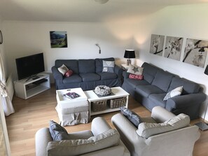 TV, fireplace, DVD player, books