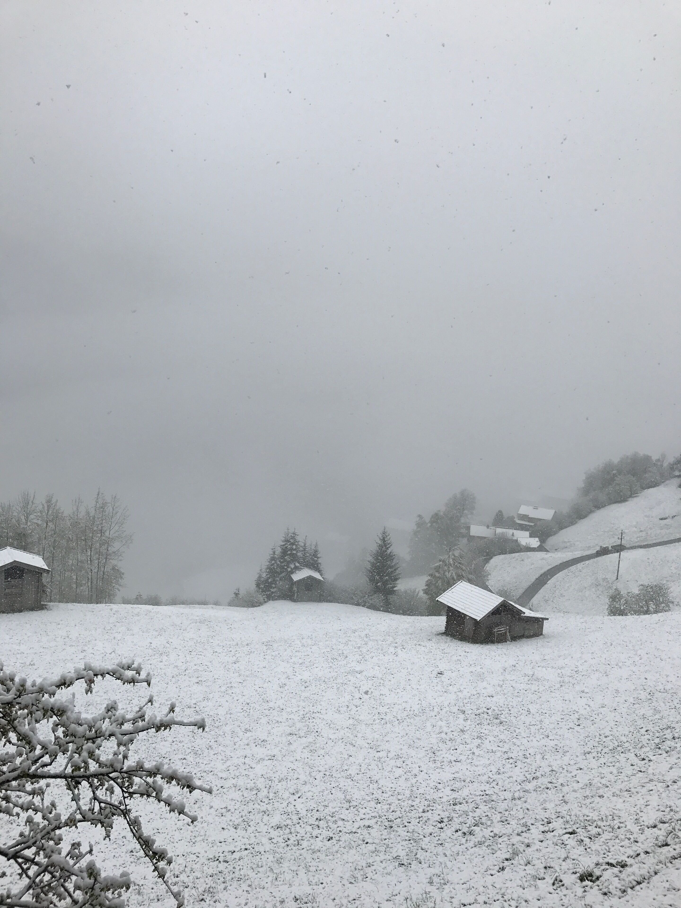 A snowy landscape with several small cabins and a few trees.