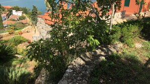 A coastal view with a stone wall, a tree, and a building with a red roof. - "BLUE HOUSE" beautiful semi-detached villa with breathtaking views (PORTO SANTO STEFANO MONTE ARGENTARIO (GR)