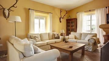 TV, fireplace, DVD player, books