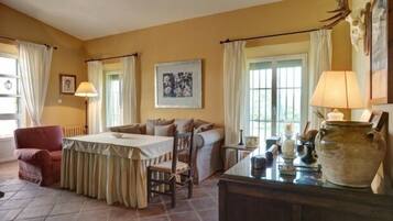 TV, fireplace, DVD player, books